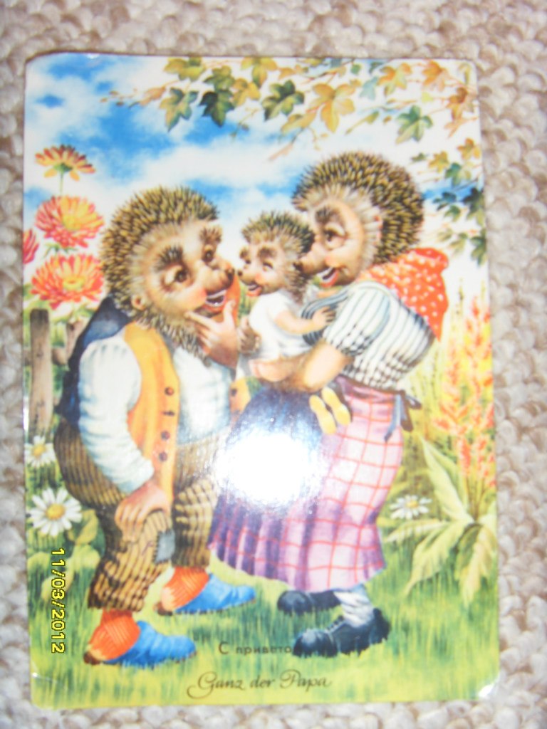 Михаил Беляев | Санкт-Петербург