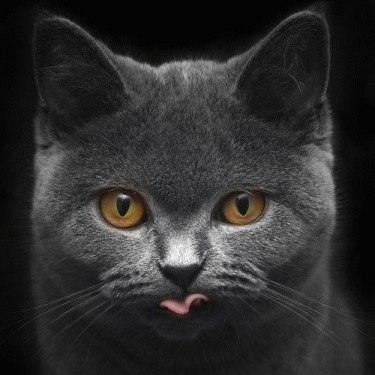 Инна Большакова | Каунас