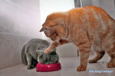 Ольга Сперанская | Нижний Новгород