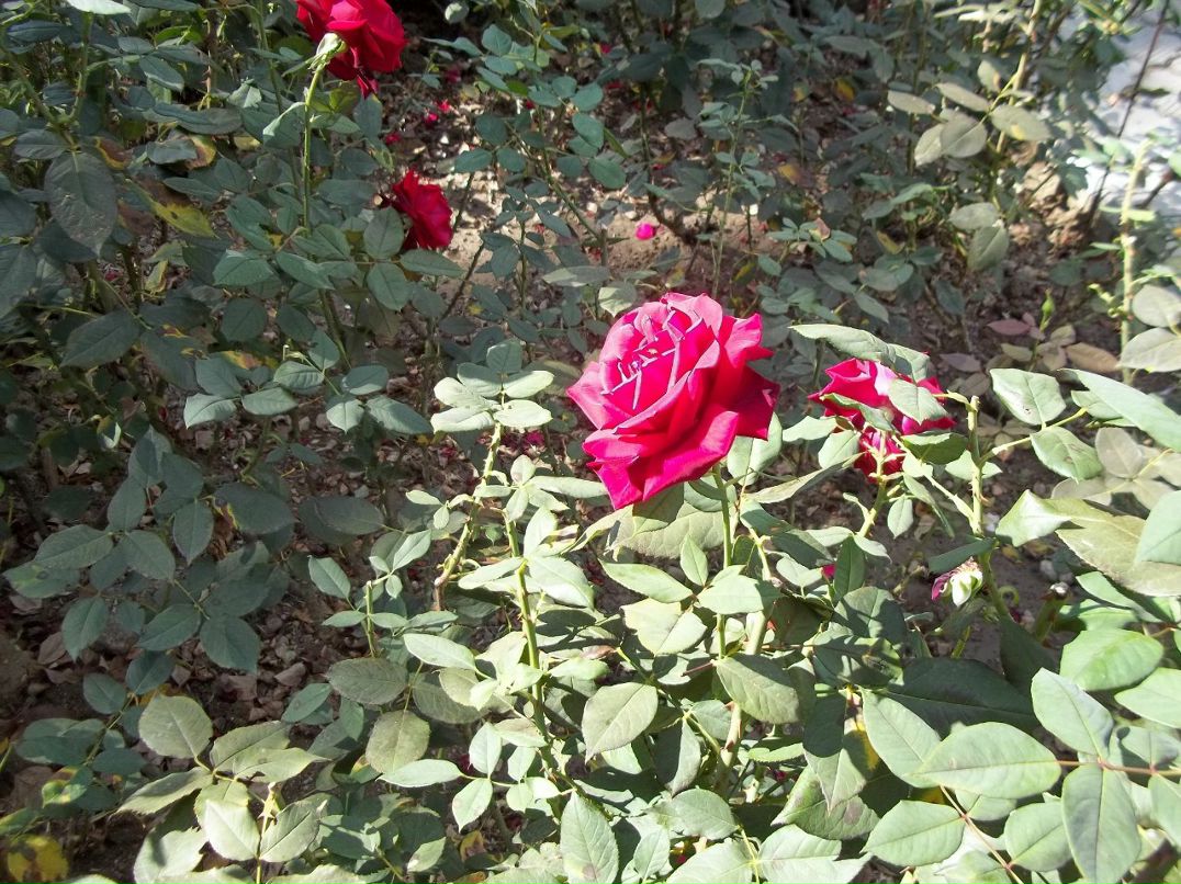 Алексей Зинюк | Бердянск