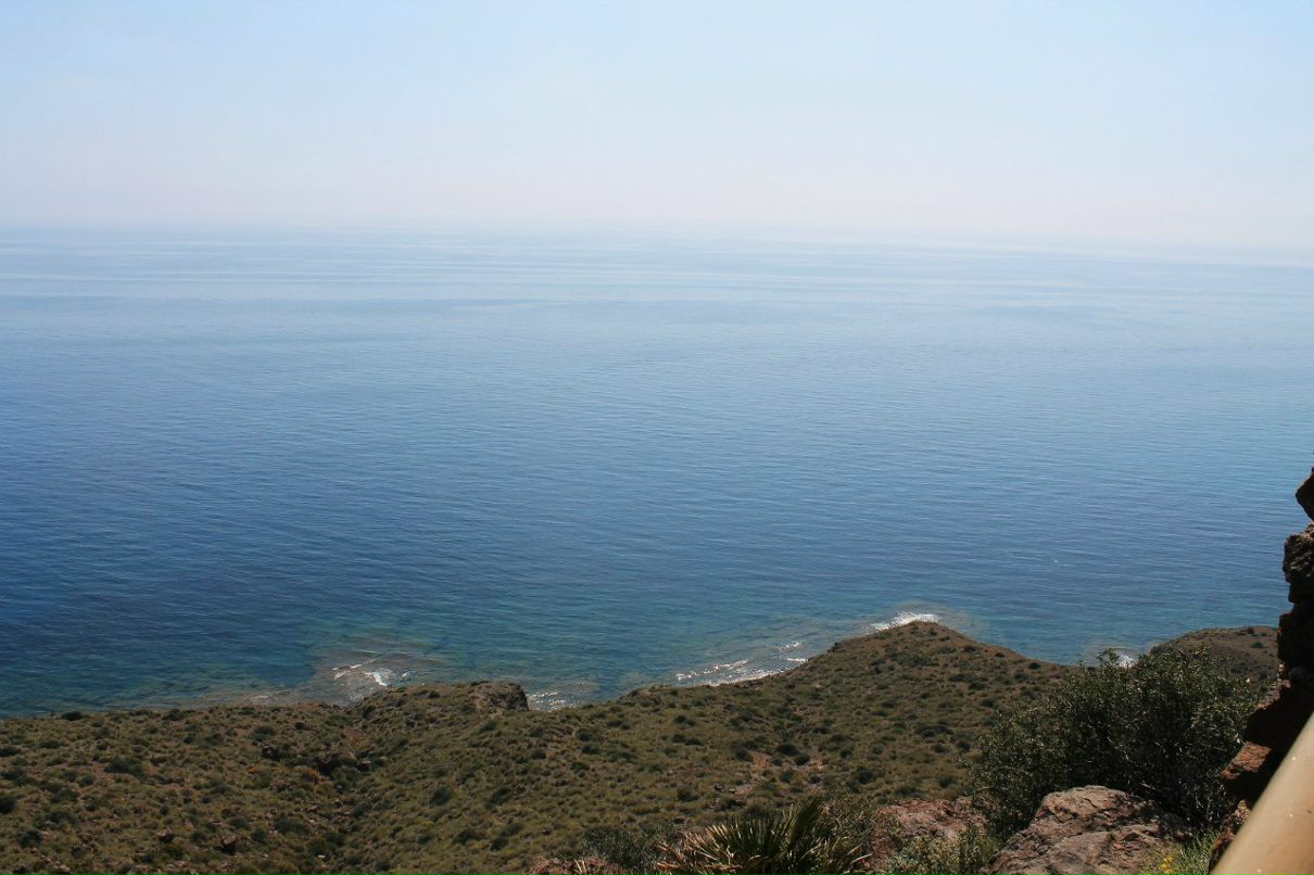 Светлана Турскова Валерьевна | Almería