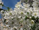 Фотография Гущиной Марины