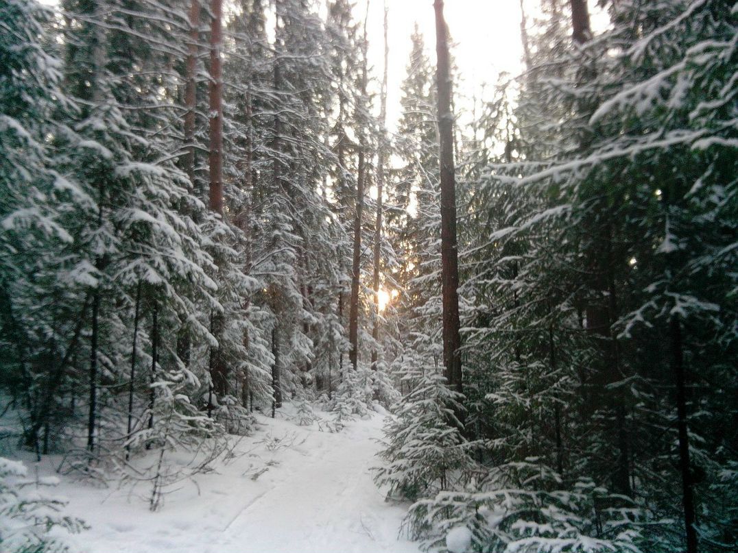 Павел Коротовских Rapture | Первоуральск