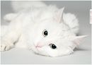 Фотография Люда Изосимова