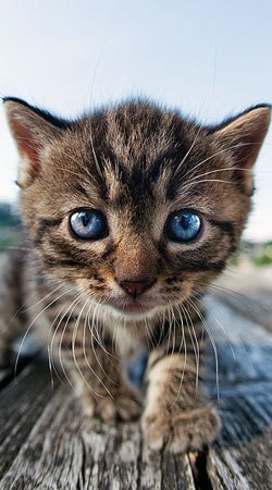 Ксюха Шутова | Югорск