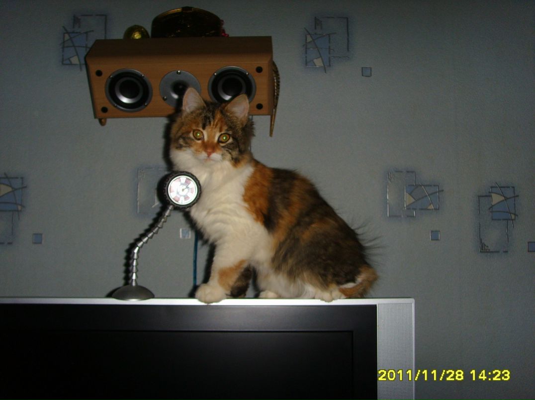 Максим Фомин | Казань