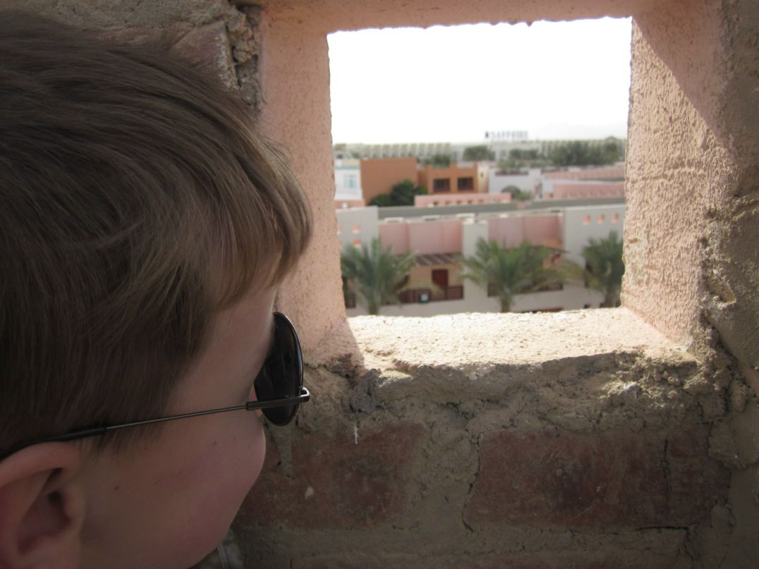 Елена Шестакова | 