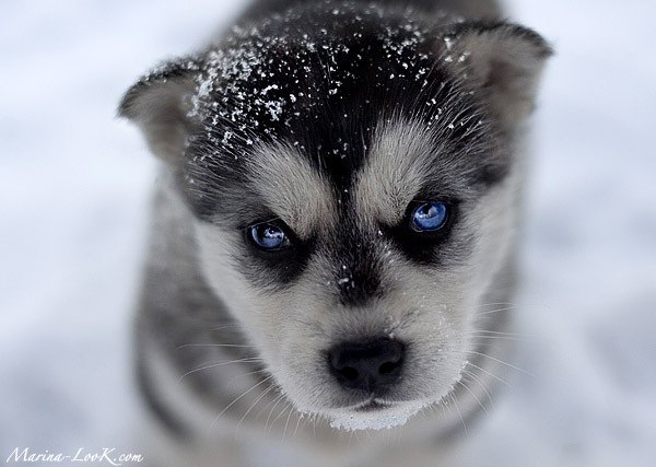 Оксана Патрон | Кременчуг