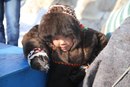 Екатерина Савина, Самара, Россия, 
