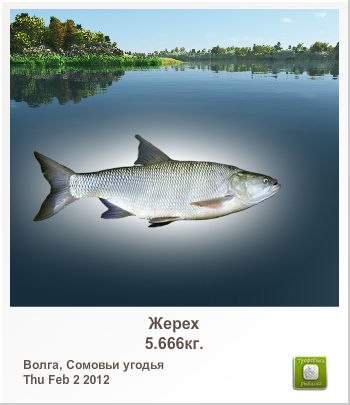 Александр Веретельников | Костерево