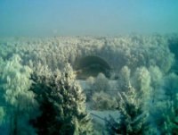 Роман Рибак | Тернополь