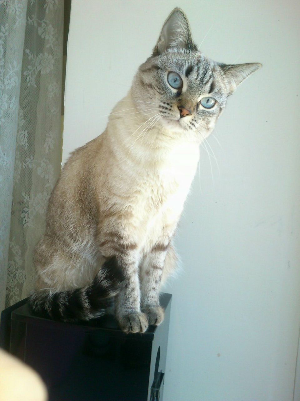 Юлия Красилова | Нижний Тагил