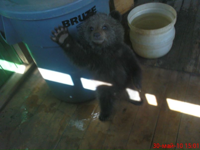 Вячеслав Алисов | 