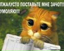 Фотография Кристина Кучук