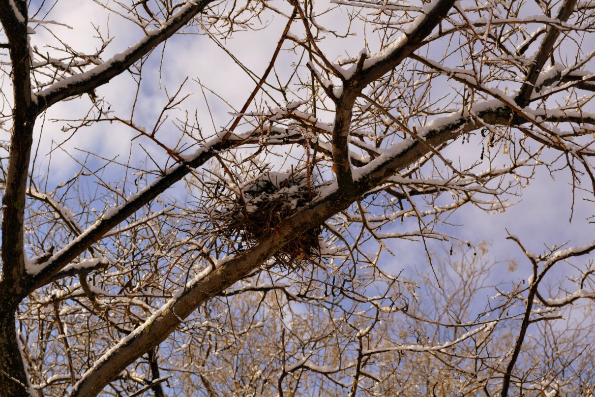 Кирилл Яковченко | Севастополь