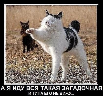 Альбина Сабирова | 