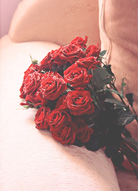 Анечка Омельницкая | Новороссийск