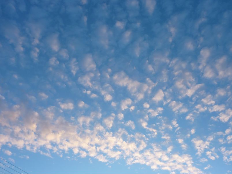 №101, Анна Николаева, Санкт-Петербург, Россия №101, Анна Николаева, Санкт-Петербург, Россия