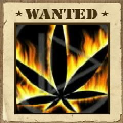 №1, Богдан Кондратюк №1, Богдан Кондратюк