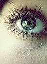 Фотография Первушкиной Елены