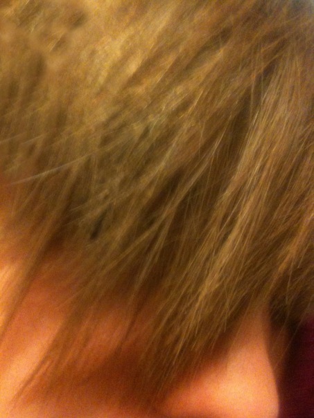 №13, Królik Wściekły, 30 лет, Warszawa №13, Królik Wściekły, 30 лет, Warszawa