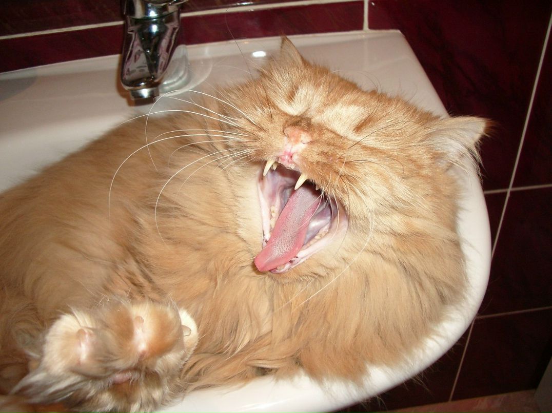 Людмила Ярош | Санкт-Петербург