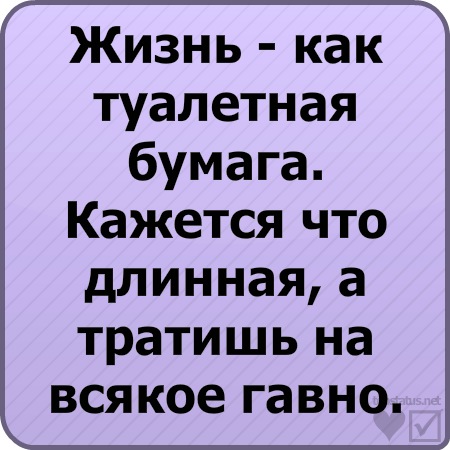 №88, Александр Одношевный, Краснодар №88, Александр Одношевный, Краснодар
