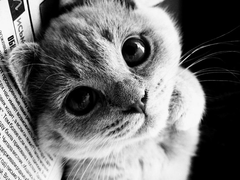 Юлия Кристес ♡♥♡ | Севастополь