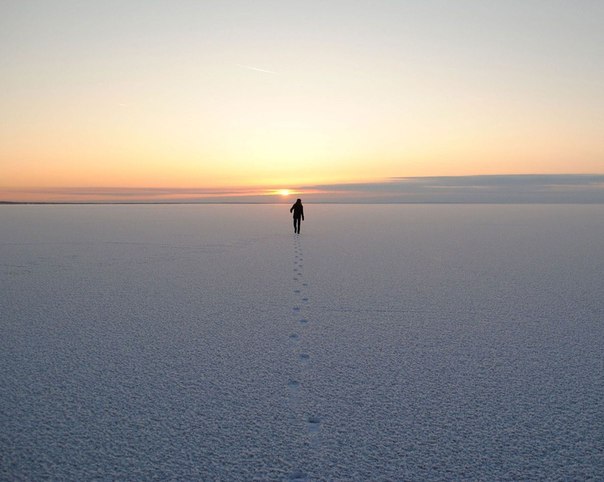 №55, Магомед Плиев, Москва, Россия №55, Магомед Плиев, Москва, Россия