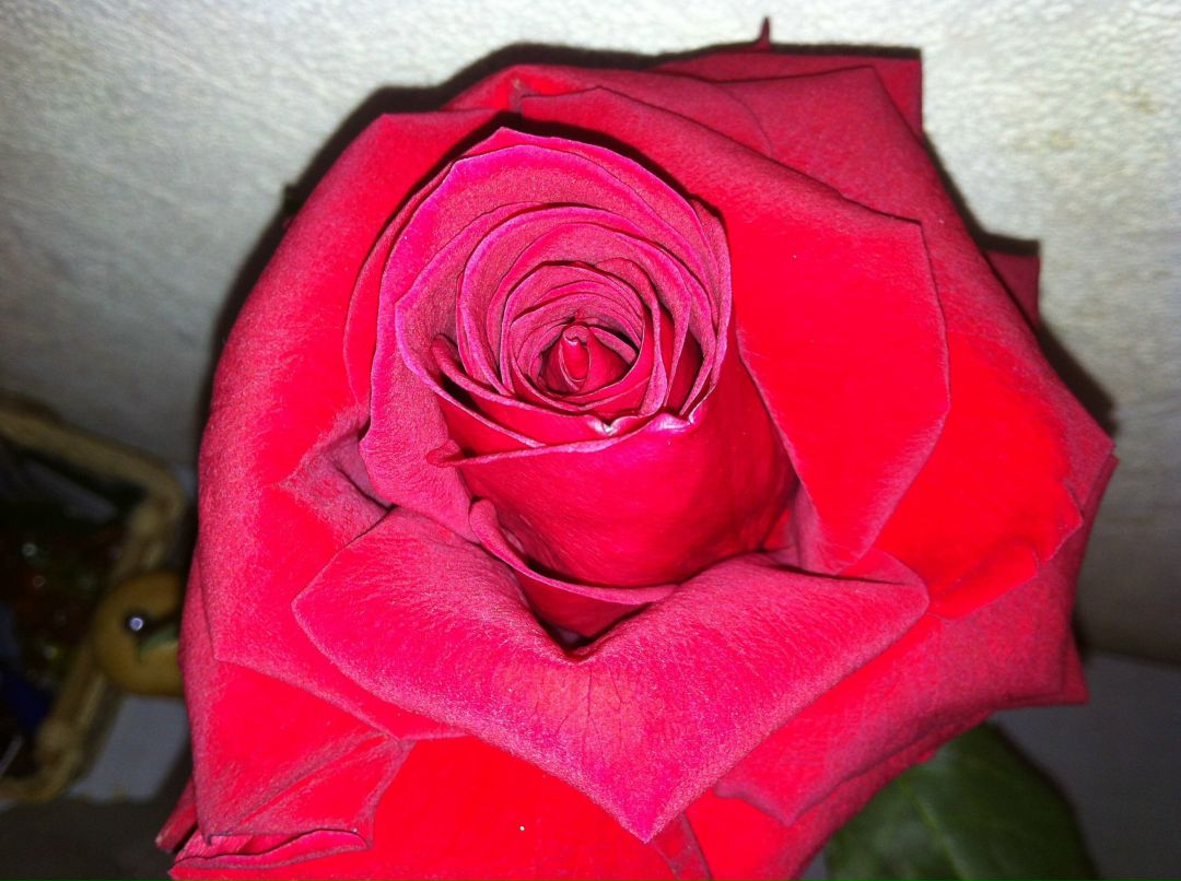 Катерина Виноградова •¸.• ´¯)¸.•.♥ | Москва