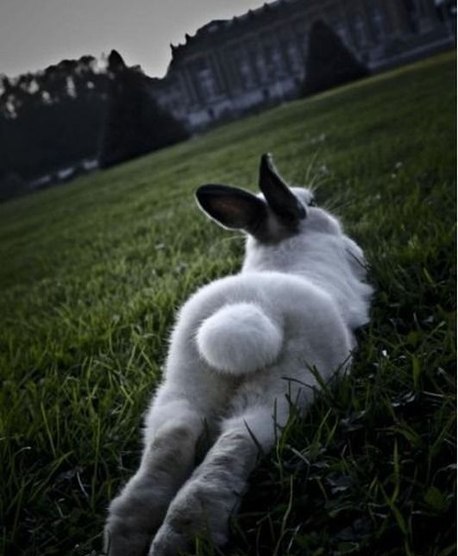 Ирочка Шнейдер | Сураж