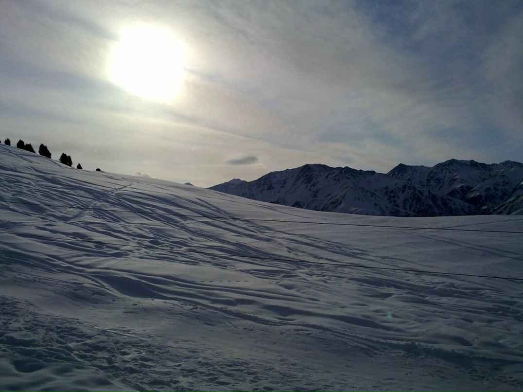 Алексей Ни | Алматы