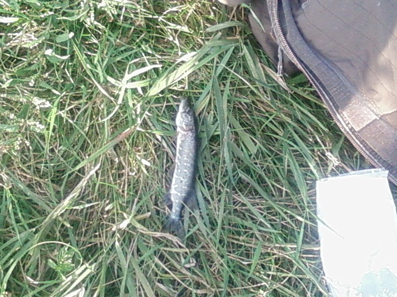 Андрей Шуляк | Киев