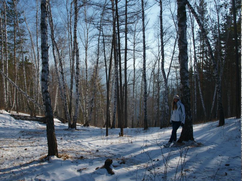 Дарья Данилина | 