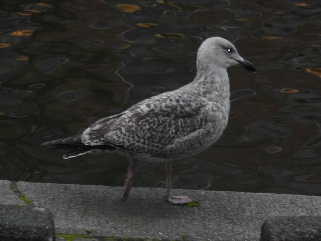 Михаил Богданов МБ | Москва