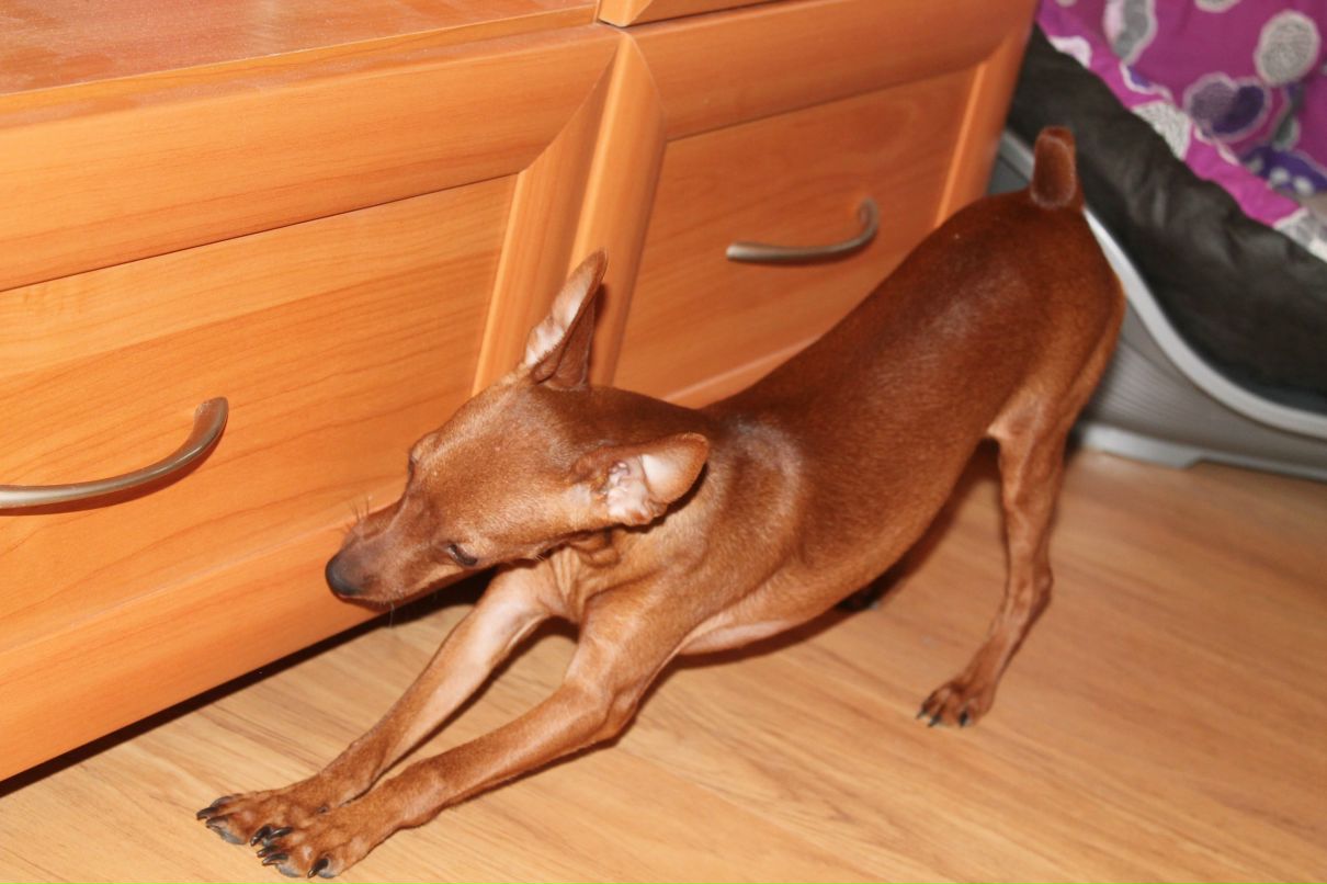 Юляшка Бежик ...чеLOVEчек... | Владикавказ