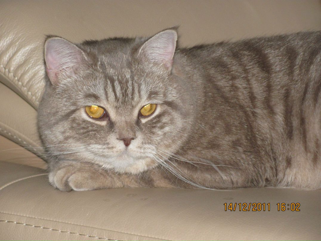 Юлия Касьянюк | Елизово