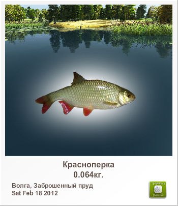 Александр Зимин | Тверь