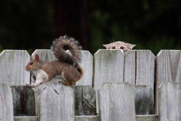 Юлия Есаулова | Санкт-Петербург