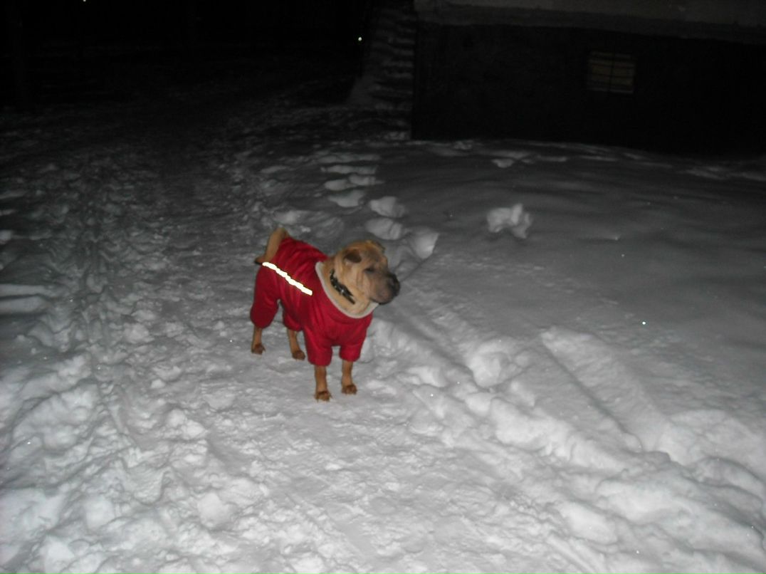 Артем Наговицын | Белая Церковь