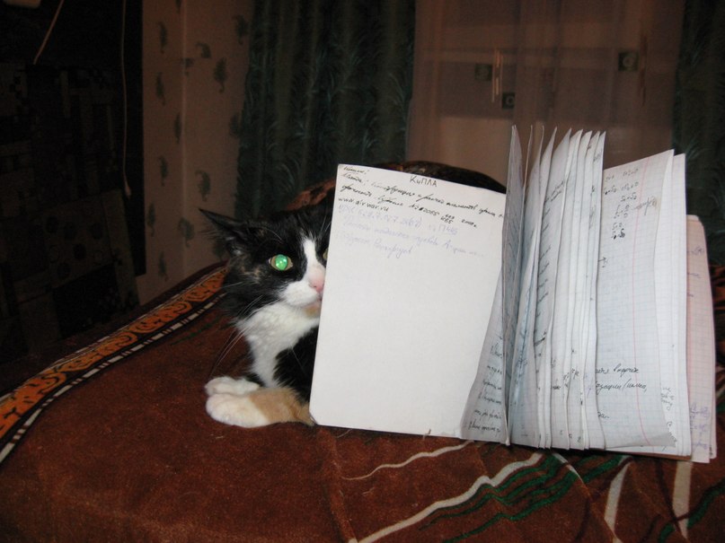 Андрей Певцов | Новосибирск