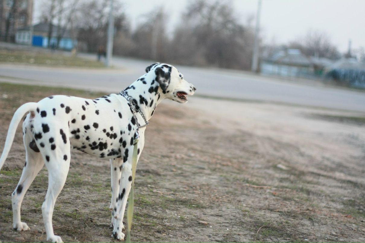 Славик Аджигитов | Москва