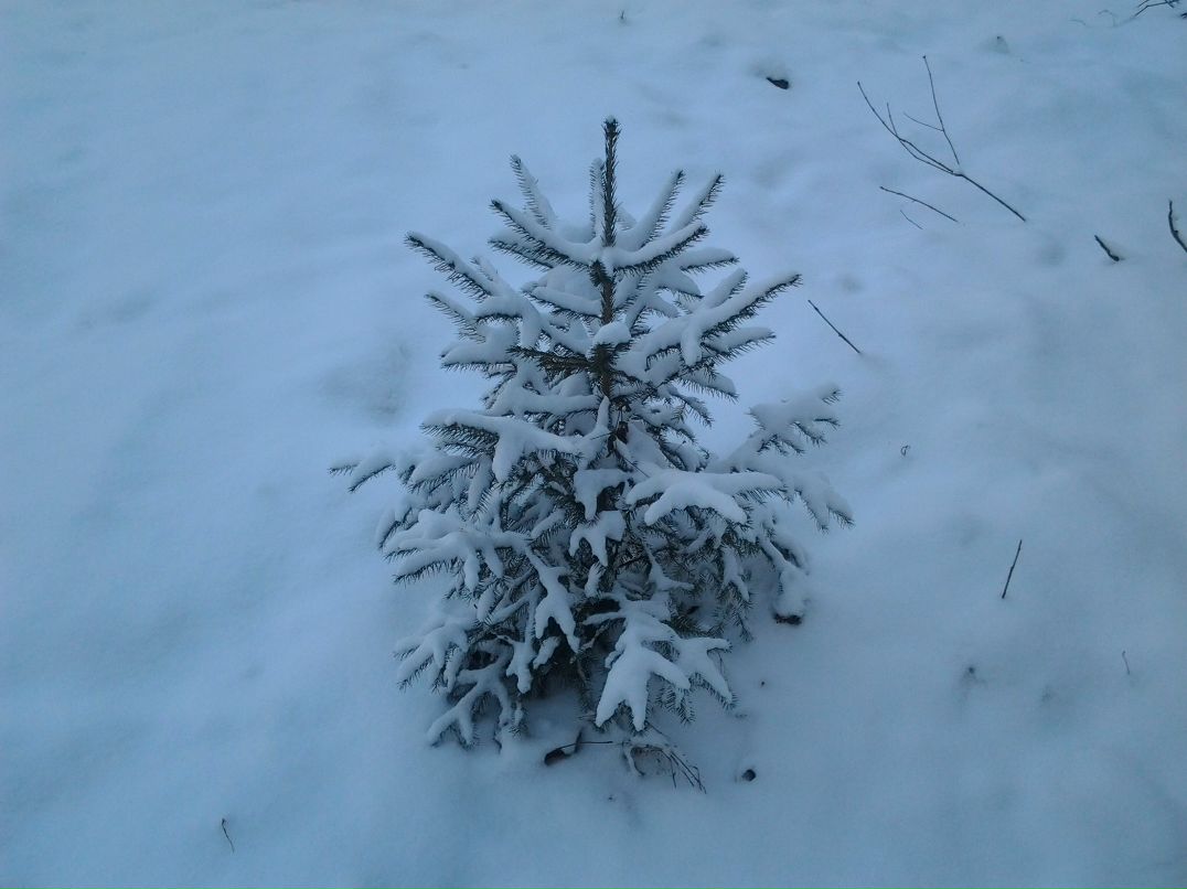 Евгений Бордюговский | Санкт-Петербург