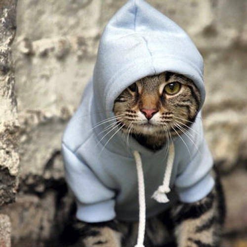 Станислав Шупинский | Санкт-Петербург