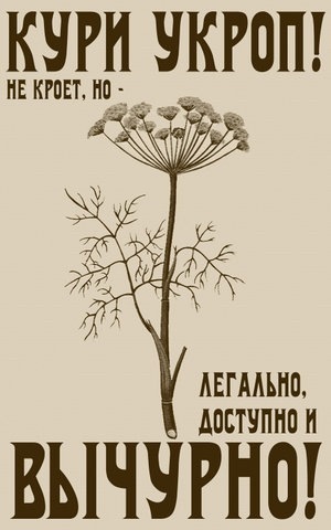 №24, Александр Москалёв, Мелитополь №24, Александр Москалёв, Мелитополь