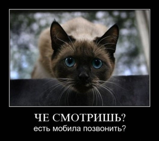 Дмитрий Резор | Киев