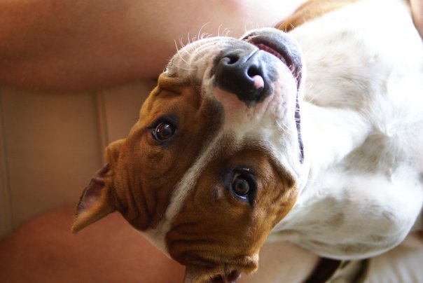 №45, Mila Tsvetkova, 36 лет, Montréal №45, Mila Tsvetkova, 36 лет, Montréal