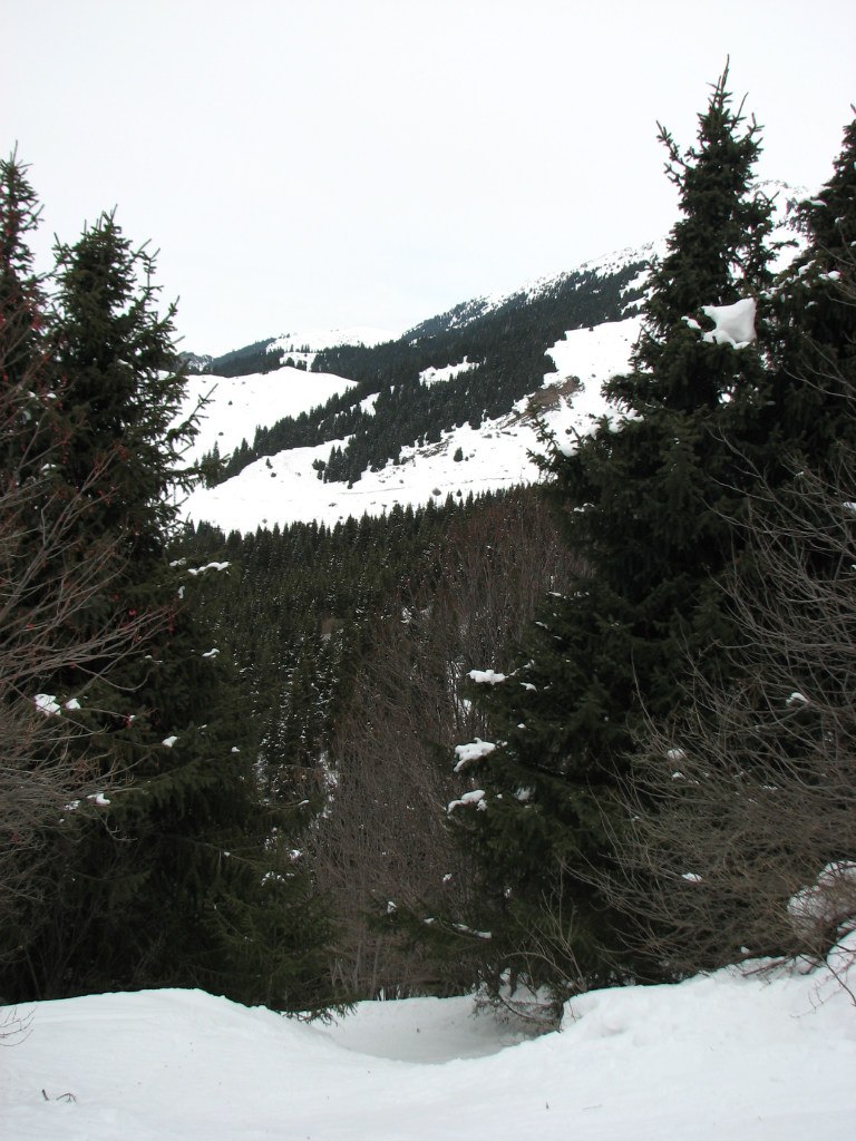 Константин Гусев geekay | Москва