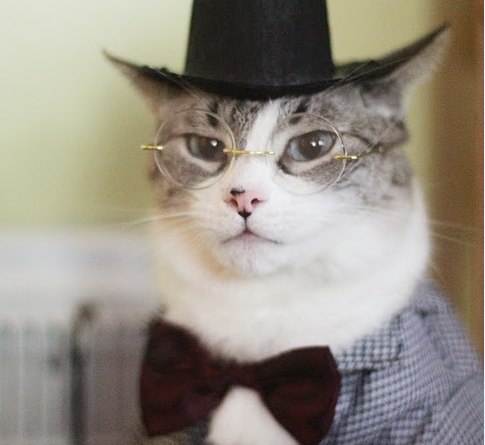 Шамиль Кабиров | Лениногорск