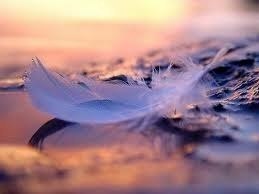 Ольга Сонина | 